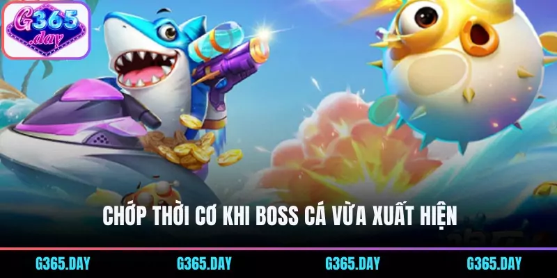 Chớp thời cơ khi Boss cá vừa xuất hiện