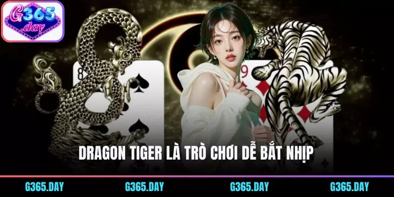 Dragon Tiger là trò chơi dễ bắt nhịp 